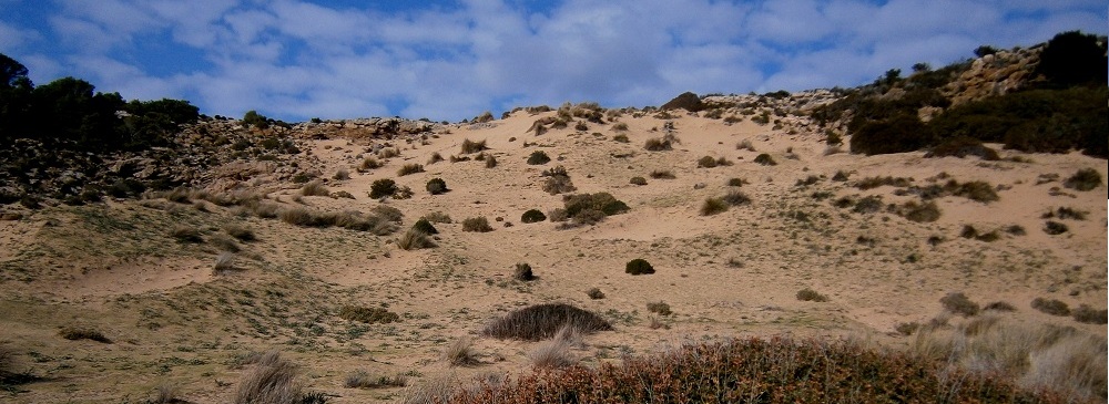 zonas humedas meorca