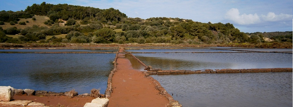 zonas humedas meorca